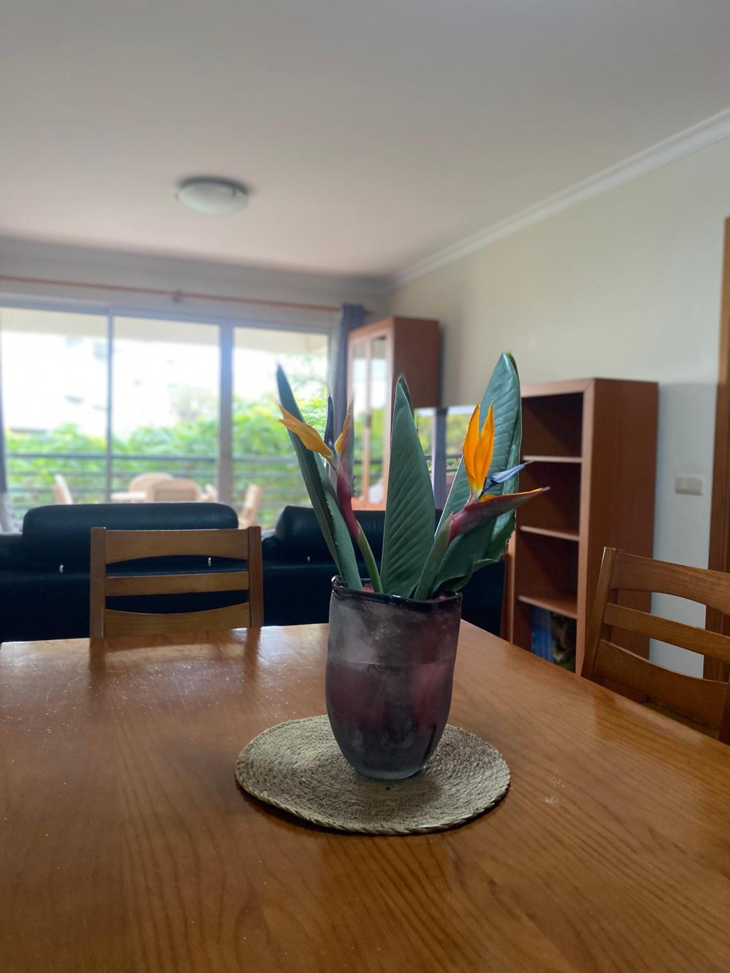 Apartamento Costa Do Sol V Funchal  Zewnętrze zdjęcie